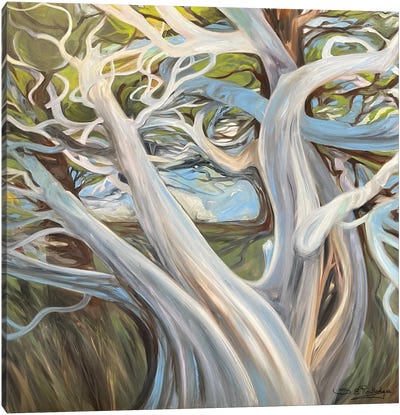 The Life Of Trees Canvas Art Print - Susan E. Routledge