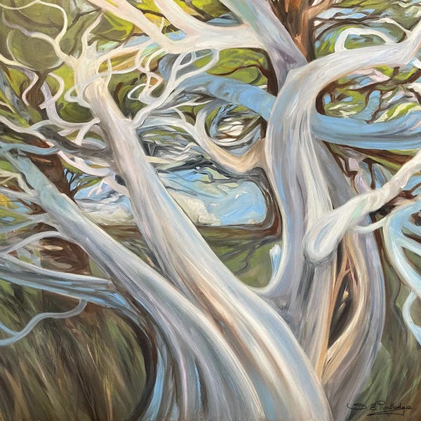 Susan E. Routledge: The Life Of Trees by Susan E. Routledge