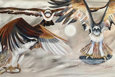 Flight by Susan E. Routledge framed wall art