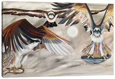 Flight Canvas Art Print - Falcons