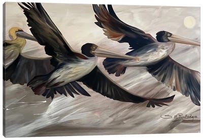 Into The Sun Canvas Art Print - Pelican Art