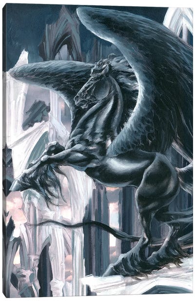 The Black Knight Canvas Art Print - Pegasus Art