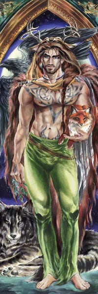 Warriors: The Druid by Ruth Thompson