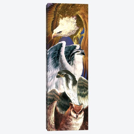 4 Birds Of Prey Canvas Print #RTP1} by Ruth Thompson Canvas Artwork