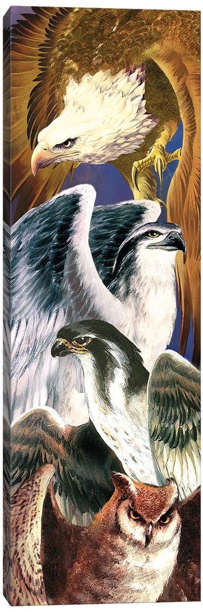 4 Birds Of Prey Canvas Art Print - Buzzard & Hawk Art