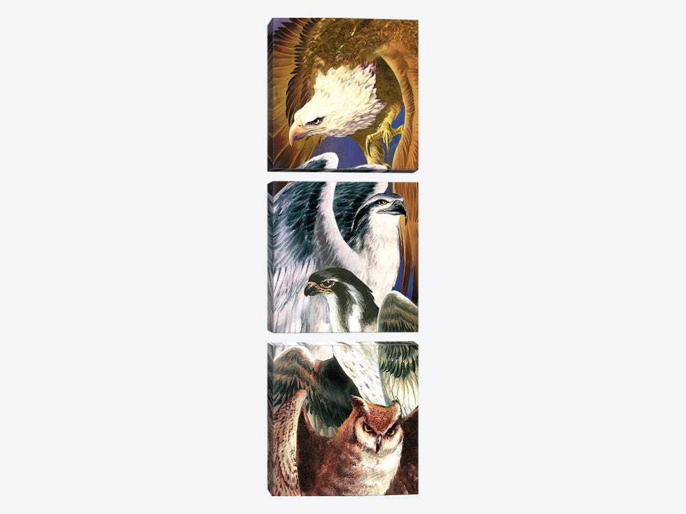 4 Birds Of Prey by Ruth Thompson 3-piece Canvas Art