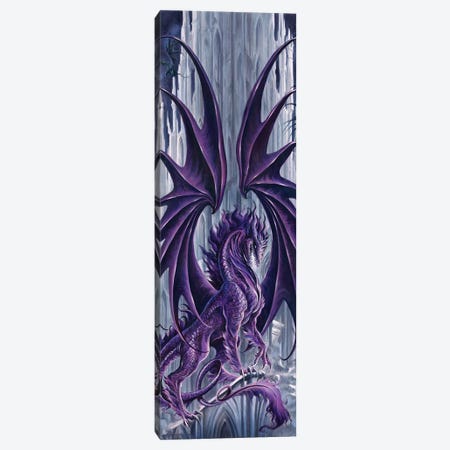 Draconis Nox Color Canvas Print #RTP30} by Ruth Thompson Canvas Artwork