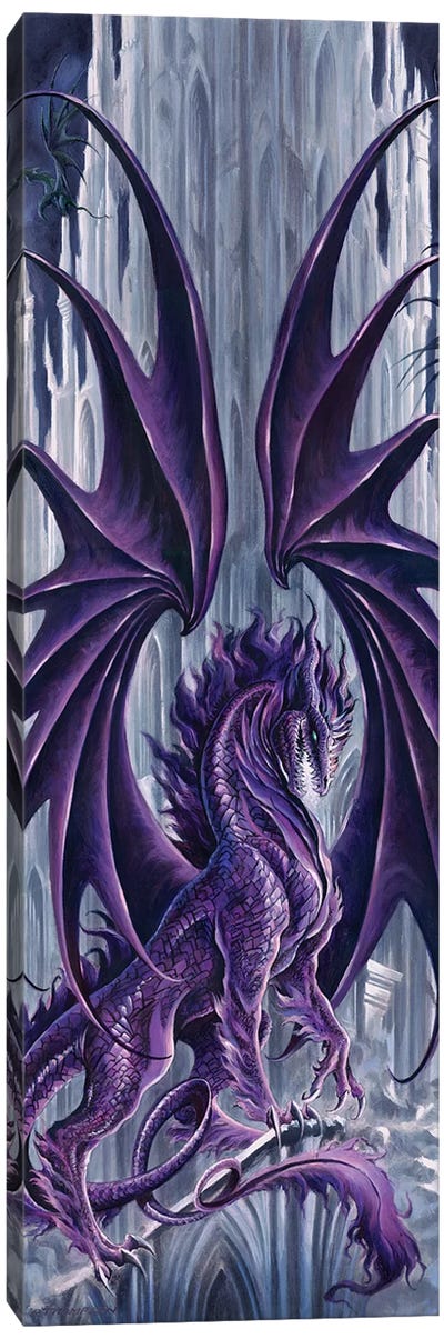 Draconis Nox Color Canvas Art Print - Mythical Creature Art
