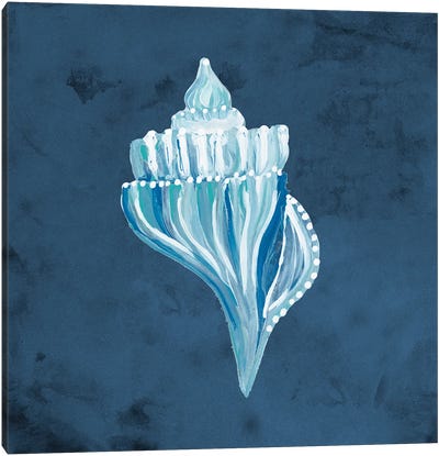 Azul Dotted Seashell on Navy I Canvas Art Print - Gina Ritter