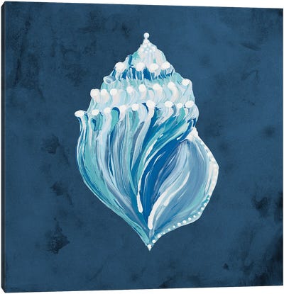 Azul Dotted Seashell on Navy II Canvas Art Print