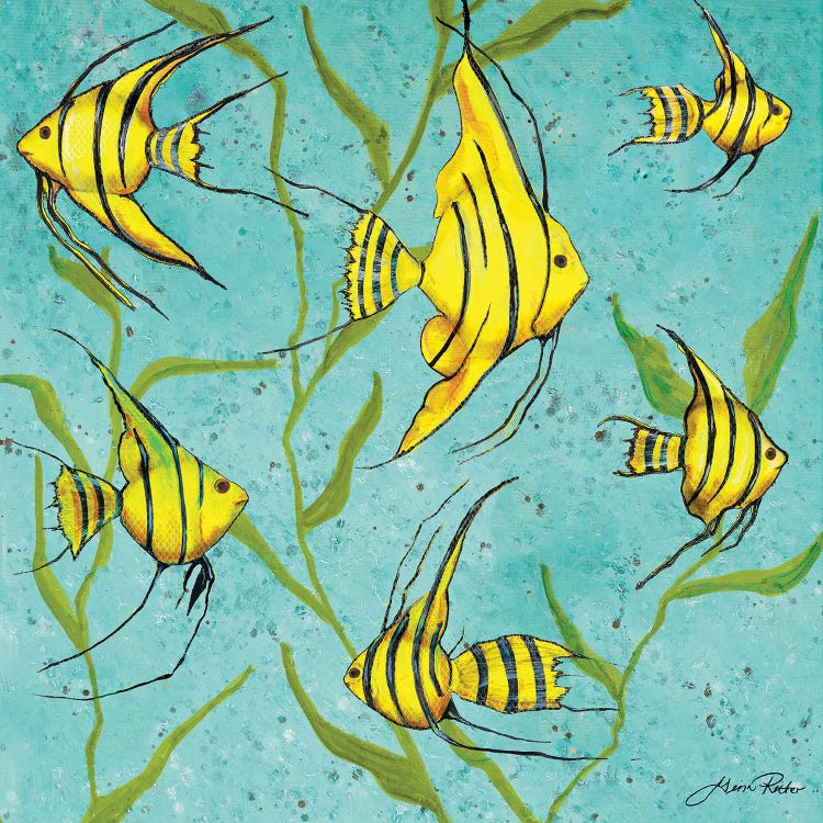 School Of Fish IV