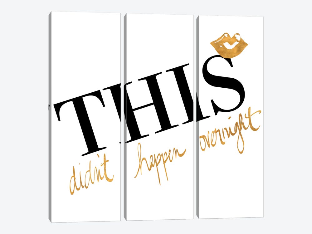 This Didn't Happen Overnight by Gina Ritter 3-piece Canvas Wall Art