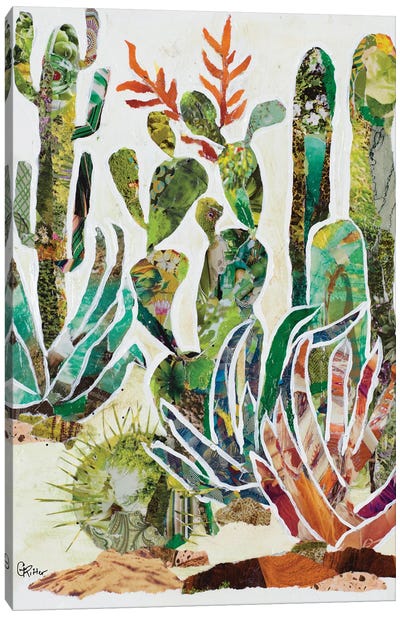 Desert Garden I Canvas Art Print - Gina Ritter