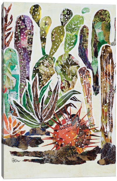 Desert Garden II Canvas Art Print - Gina Ritter