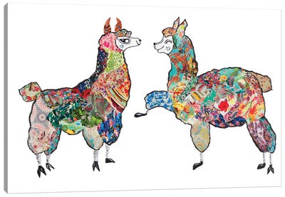 Happy Llamas Canvas Art Print - Llama & Alpaca Art