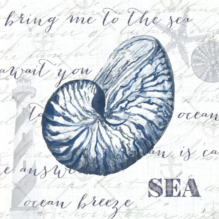 Indigo Shell II