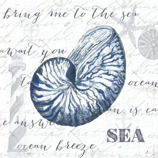 Sea Shells: Indigo Shell II by Gina Ritter