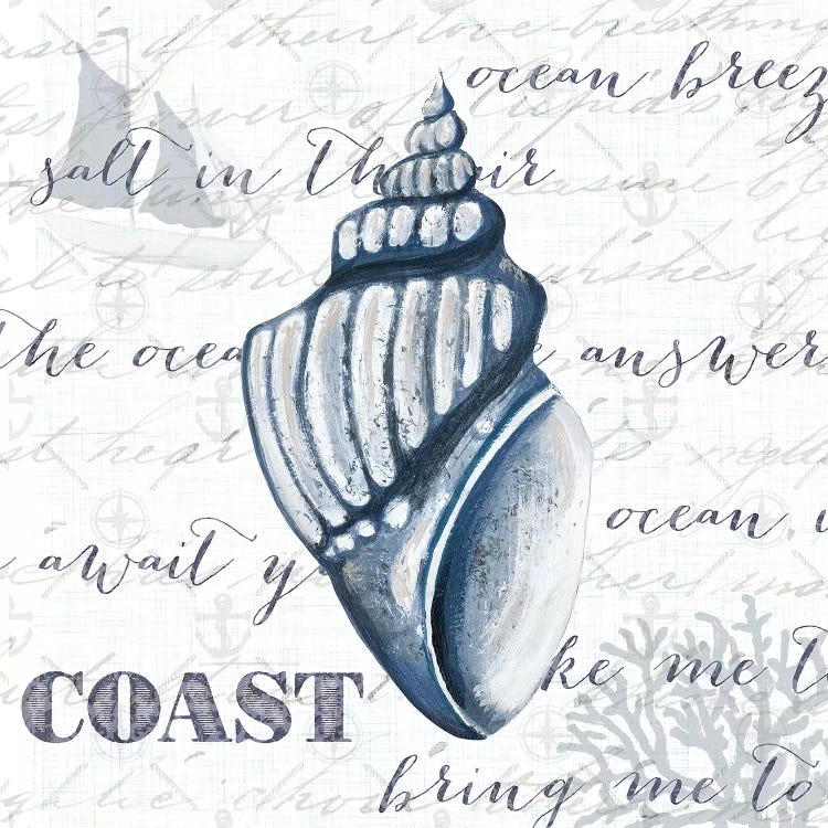 Indigo Shell IV