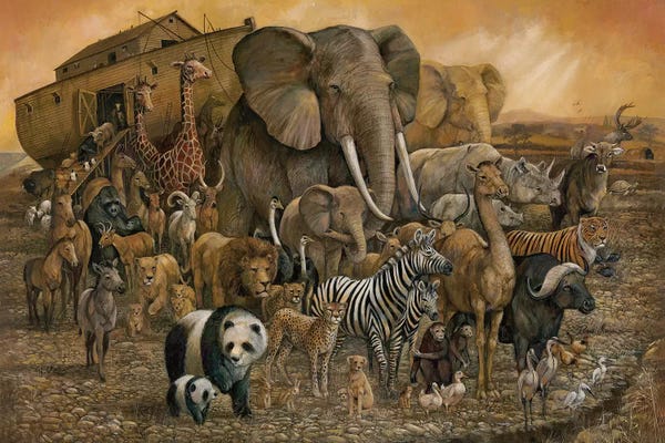 Rhinoceroses