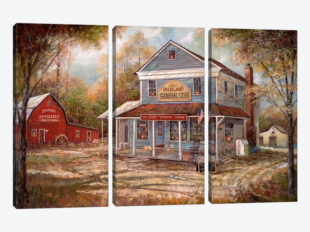 Richland General Store by Ruane Manning 3-piece Canvas Wall Art