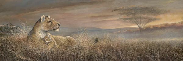 Lions: Forever Safe by Ruane Manning