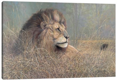 Majestic Beauty Canvas Art Print - Lion Art