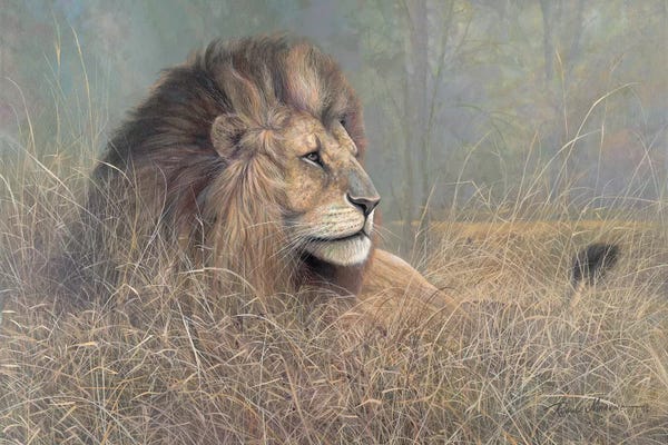 Lions: Majestic Beauty by Ruane Manning