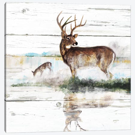 Rustic Misty Deer Canvas Print #RUA191} by Ruane Manning Canvas Wall Art