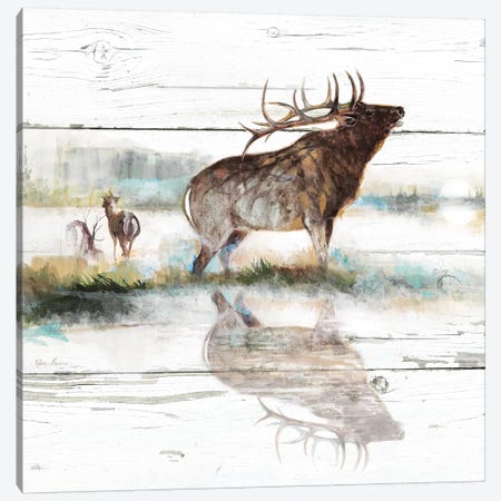 Rustic Misty Elk Canvas Print #RUA192} by Ruane Manning Canvas Artwork