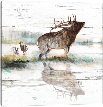 Rustic Misty Elk Canvas Art Print - Elk Art