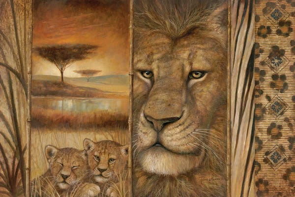 Africa: Africa's Tapestry by Ruane Manning