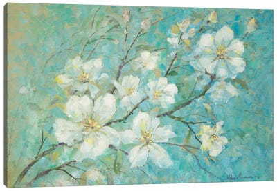 Apple Blossoms Canvas Art Print
