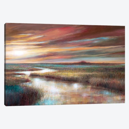 Cape Sunset Canvas Print #RUA239} by Ruane Manning Art Print