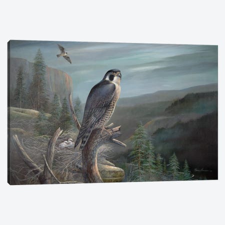 Falcon Canvas Print #RUA252} by Ruane Manning Canvas Art Print