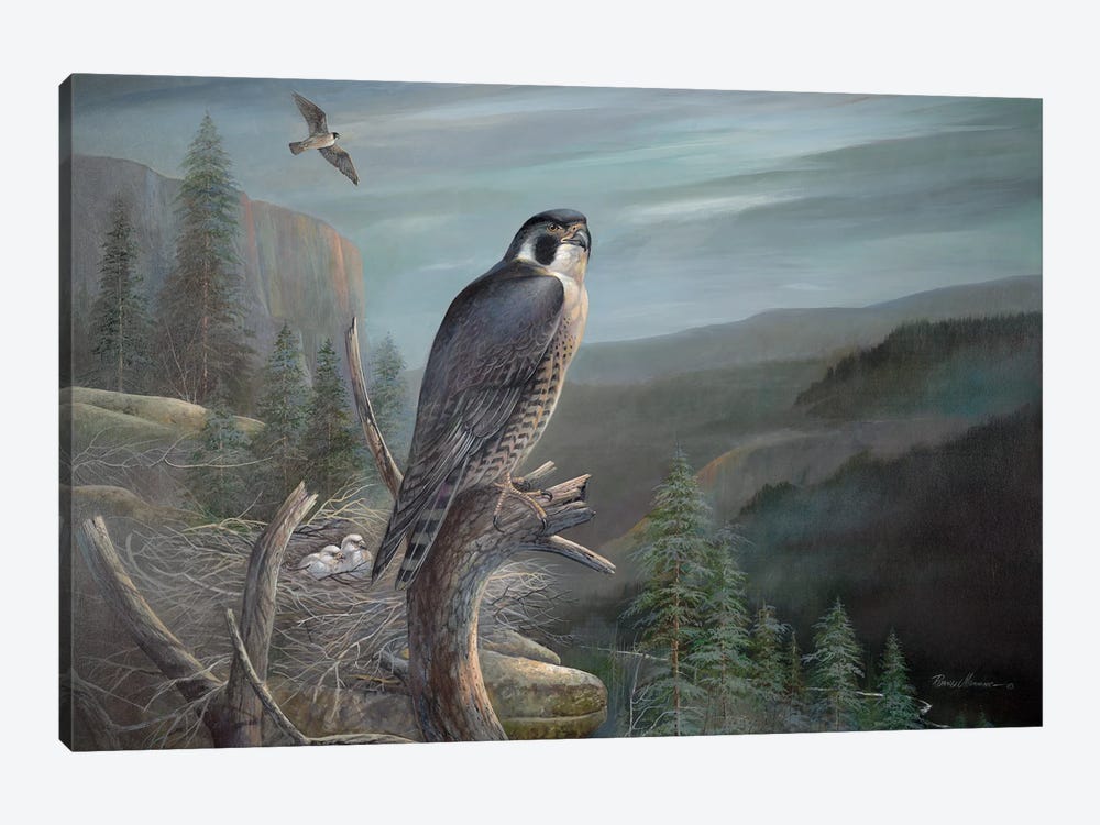 Falcon by Ruane Manning 1-piece Canvas Art