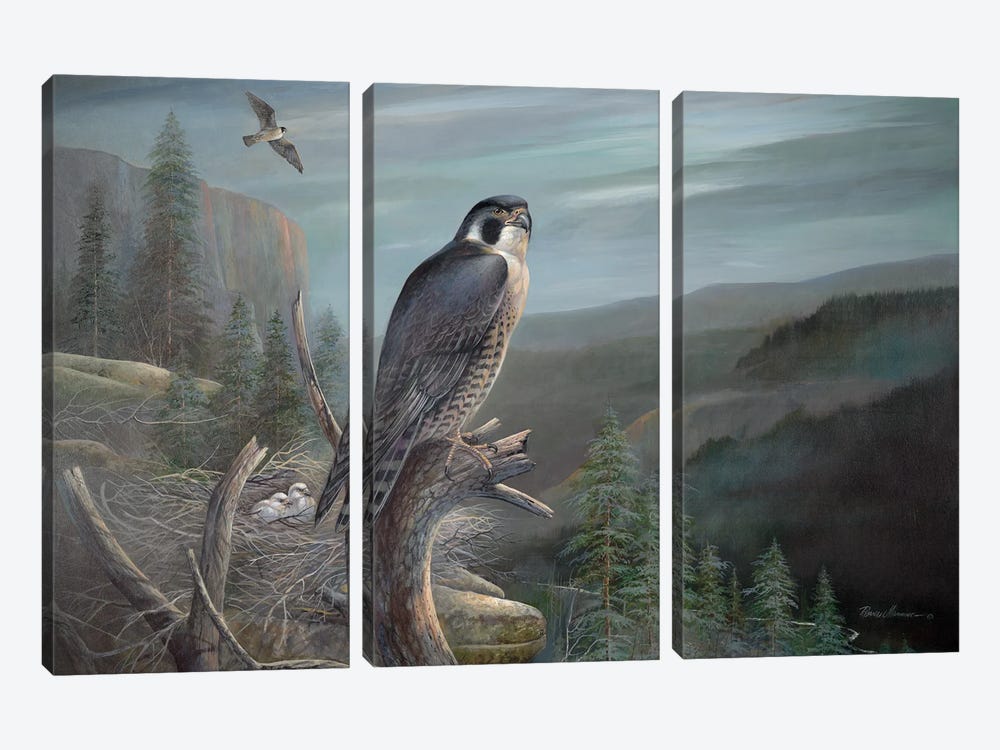 Falcon by Ruane Manning 3-piece Canvas Art