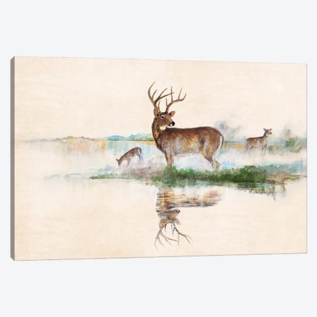 Misty Deer Canvas Print #RUA264} by Ruane Manning Canvas Print