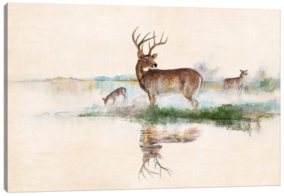Misty Deer Canvas Art Print - River, Creek & Stream Art