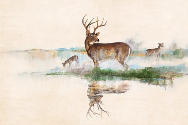 Deer: Misty Deer by Ruane Manning