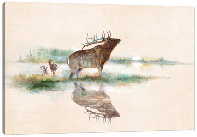 Misty Elk Canvas Art Print - Deer Art