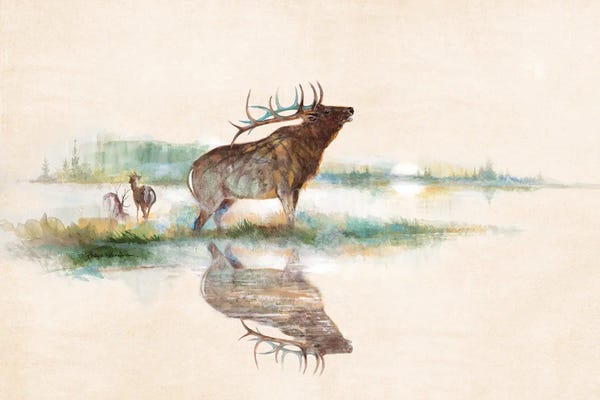 Elk: Misty Elk by Ruane Manning