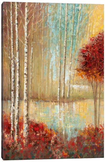Emerald Pond Canvas Art Print - Aspen and Birch Trees