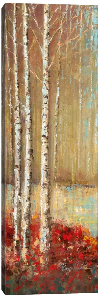 Emerald Pond Revisited I Canvas Art Print - Aspen and Birch Trees