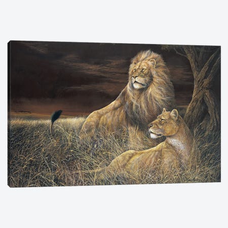 Winds in the Serengeti Canvas Print #RUA304} by Ruane Manning Canvas Wall Art