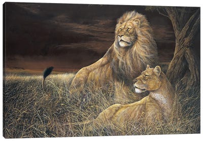 Winds in the Serengeti Canvas Art Print - Lion Art