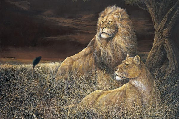 Lions: Winds in the Serengeti by Ruane Manning