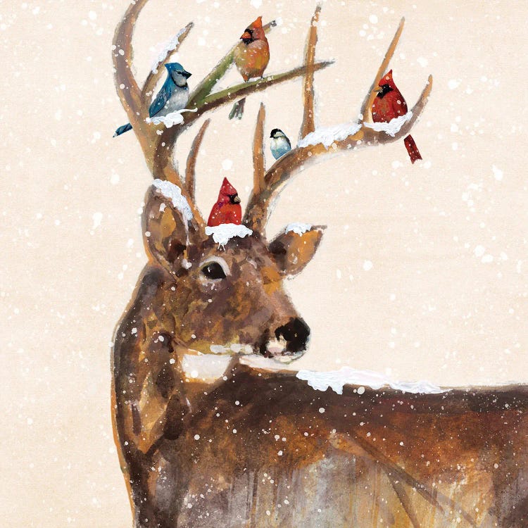 Winter Stag and Friends