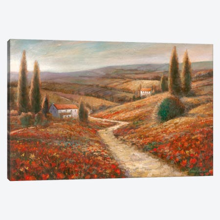 Fields Of Color Canvas Print #RUA32} by Ruane Manning Canvas Art