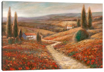 Fields Of Color Canvas Art Print - Tuscany