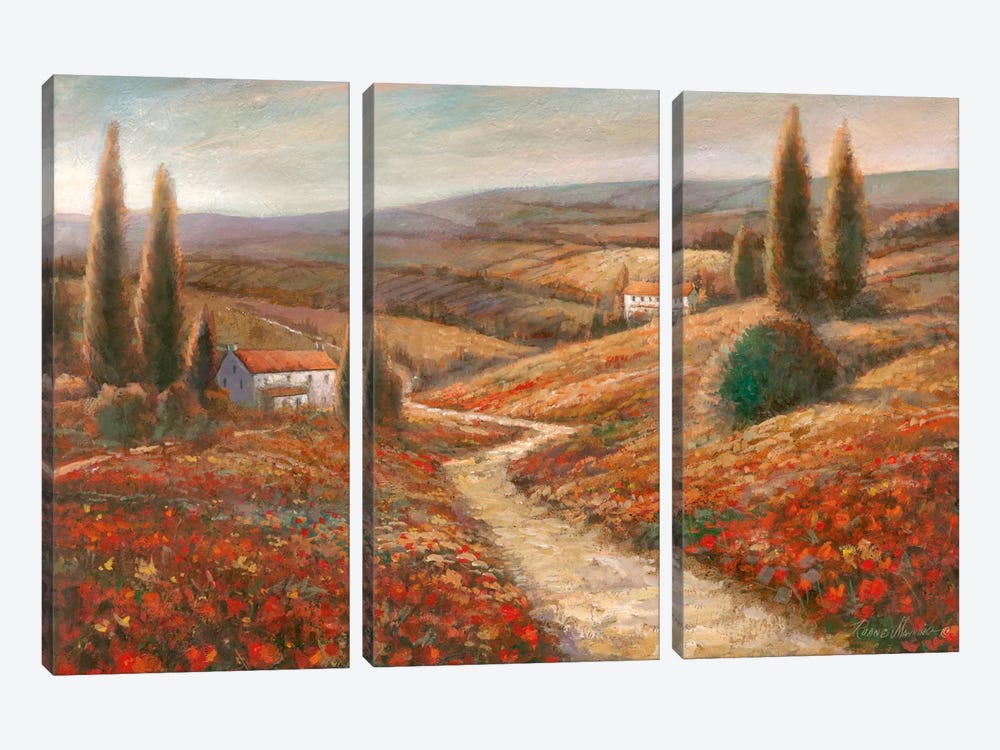 Fields Of Color by Ruane Manning 3-piece Canvas Art Print